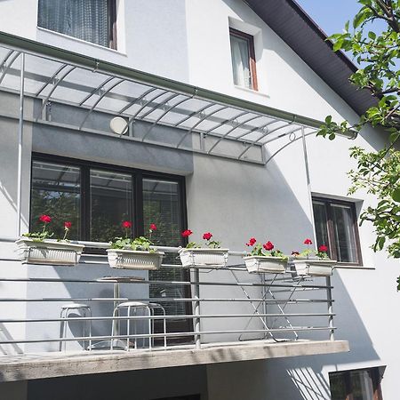 Guest House Sokodream سوكو بانيا المظهر الخارجي الصورة
