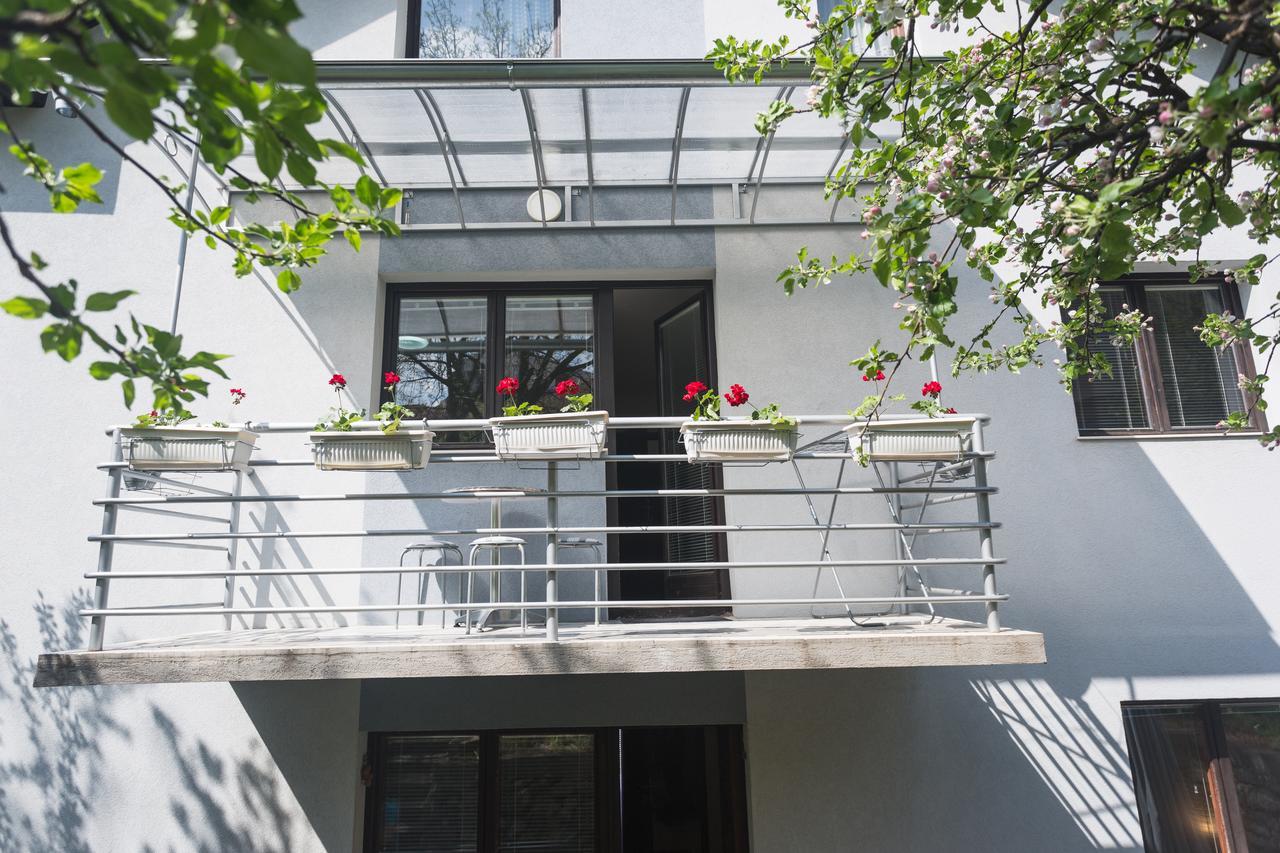 Guest House Sokodream سوكو بانيا المظهر الخارجي الصورة
